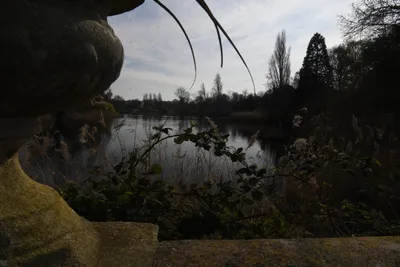 DSC_6890 (Large).JPG